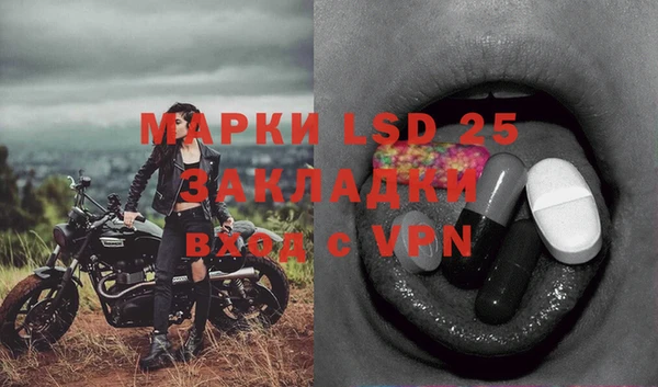 мдпв Абаза