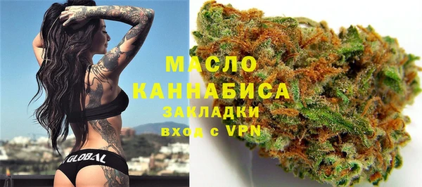 твердый Ладушкин