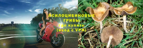 экстази Лагань