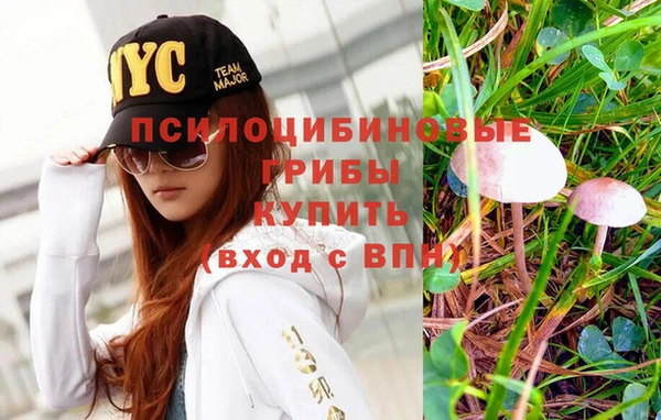 экстази Лагань