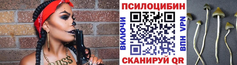 Галлюциногенные грибы GOLDEN TEACHER  где купить наркоту  Электросталь 